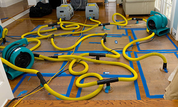 Professional Water Extraction technician working in Pilot Grove, MO
